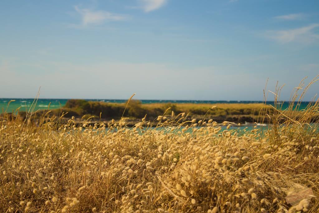 Borgo Degli Artisti Villa Ostuni Eksteriør billede